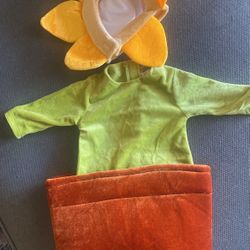 0-3 Months Flower Pot Costume 