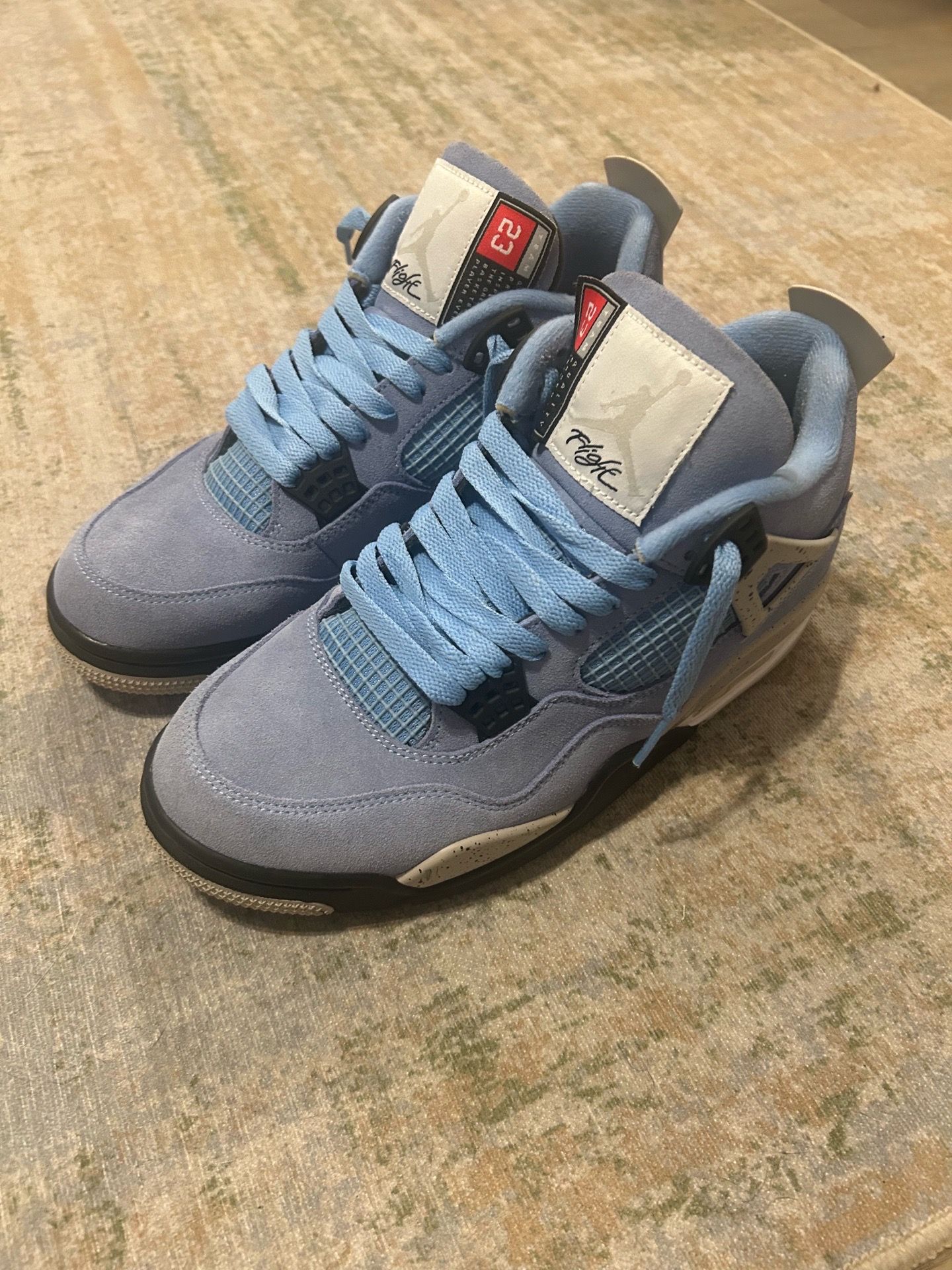 Air Jordan 4 university