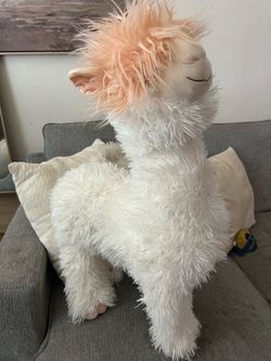 Llama