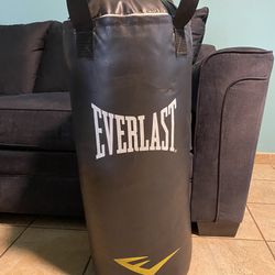 Everlasting Punching Bag Ta40