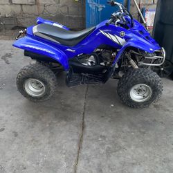 Quad Raptor 50 