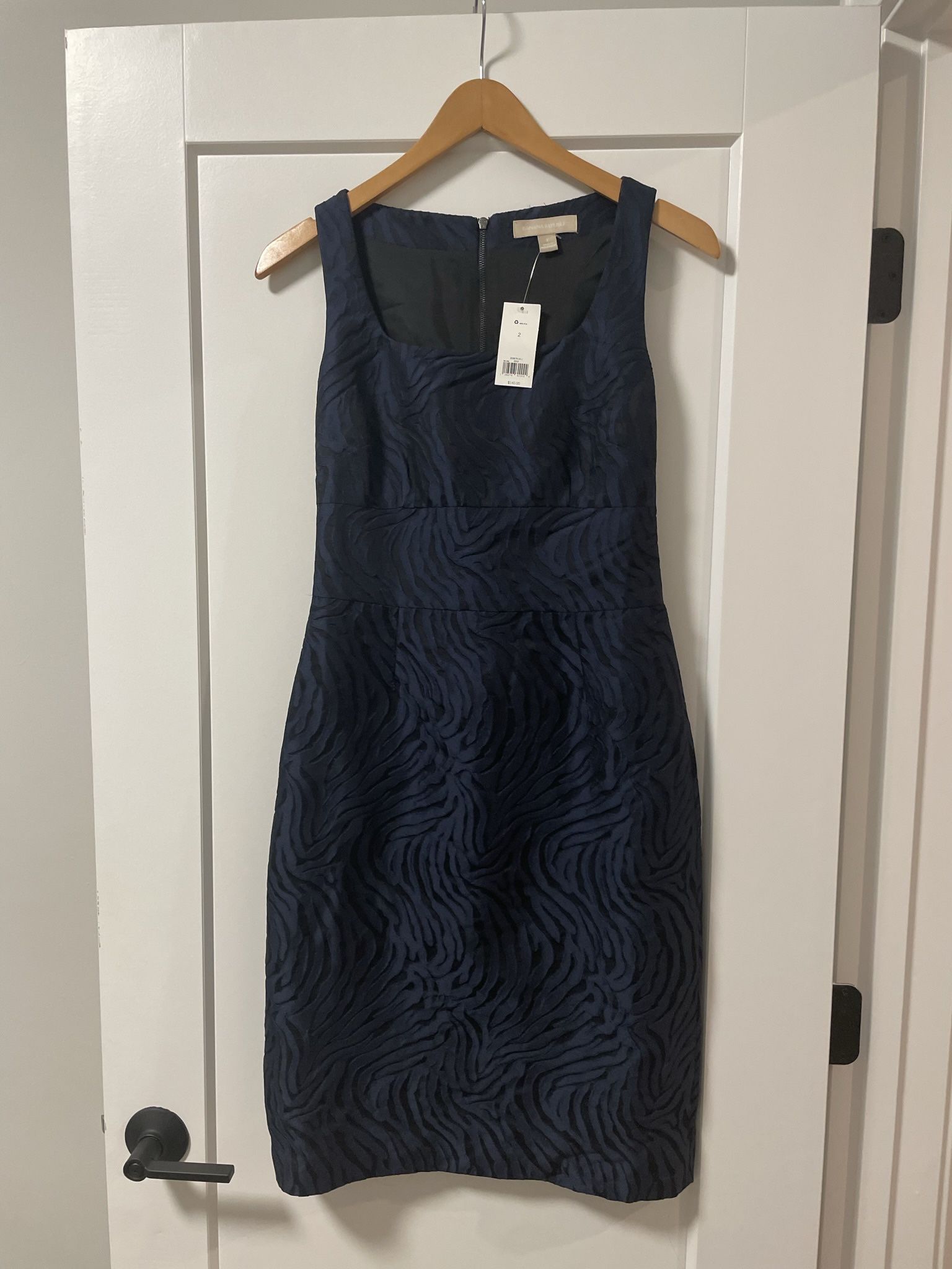 Banana Republic Dress (2)