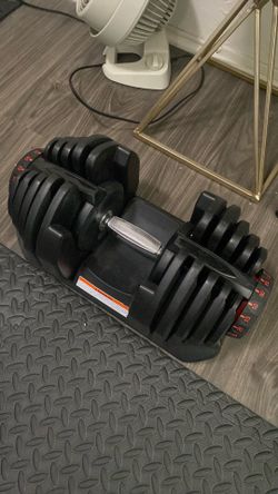 Bowflex 1090 Adjustable Dumbbell (Single) - $250