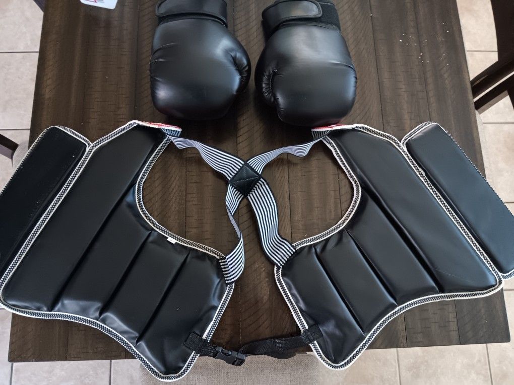 16 oz Muy Thai Gloves And Torso Protector Pads