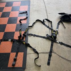 5 Point Racing Harnesses