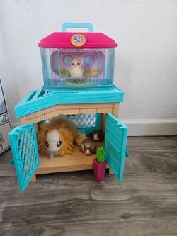 Live pets animals