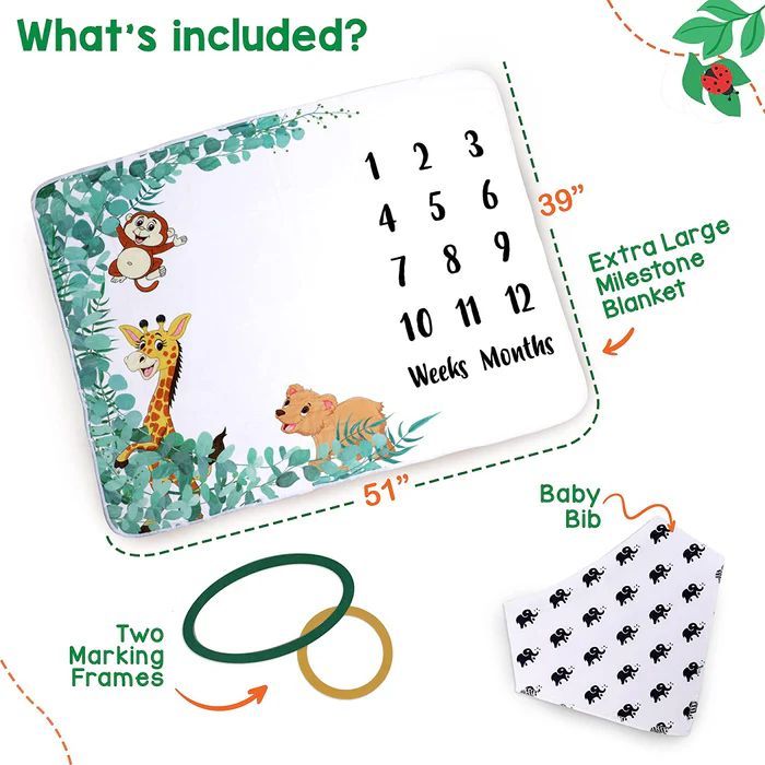 Baby Monthly Milestone Blanket with Frames & Bib