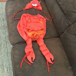 Halloween Baby Crab 