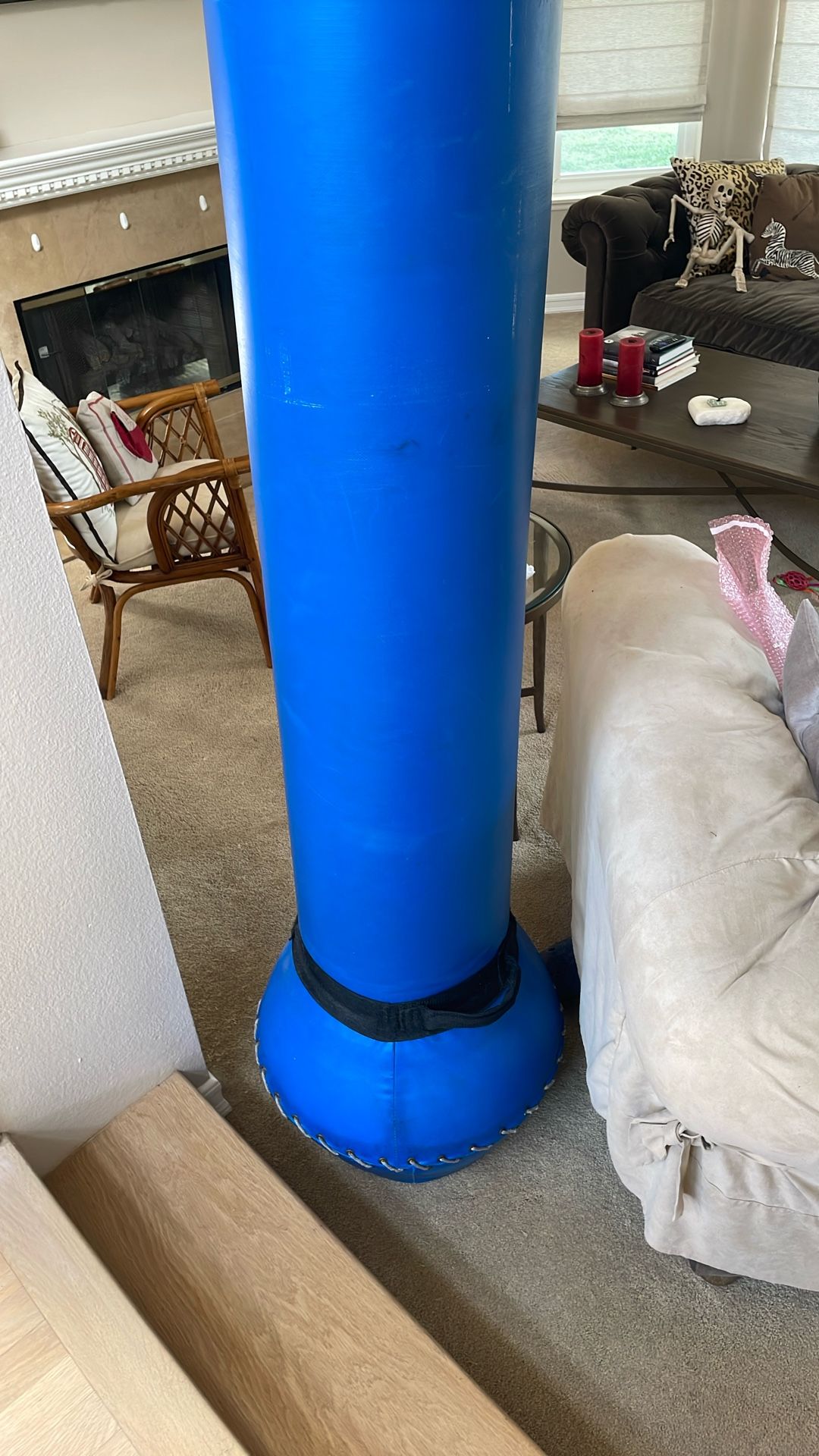 Punching Bag