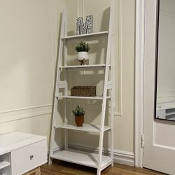 Ladder Shelf 