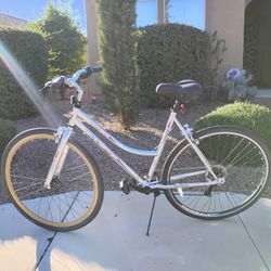 Kent Transit Commuter Like New 