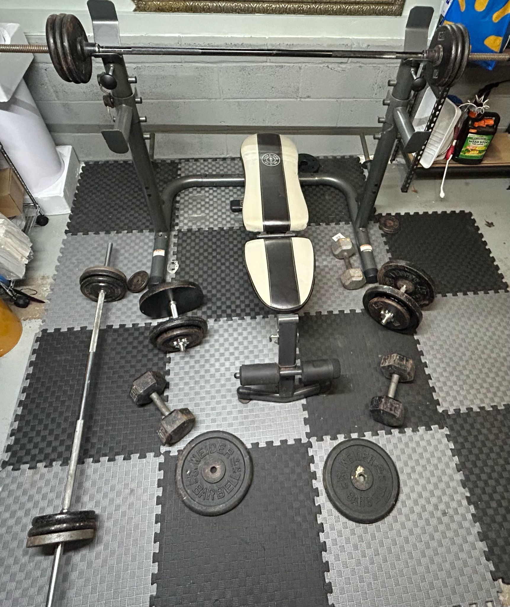 Golds Gym Bench + Set