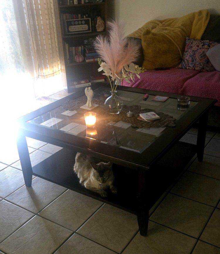 Coffee Table✨️