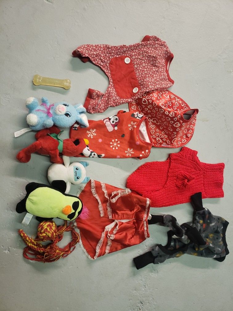 XXS Dog Clothes And Toys