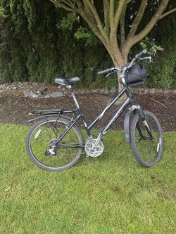 TREK FEMALE MOUNTAIN BIKE