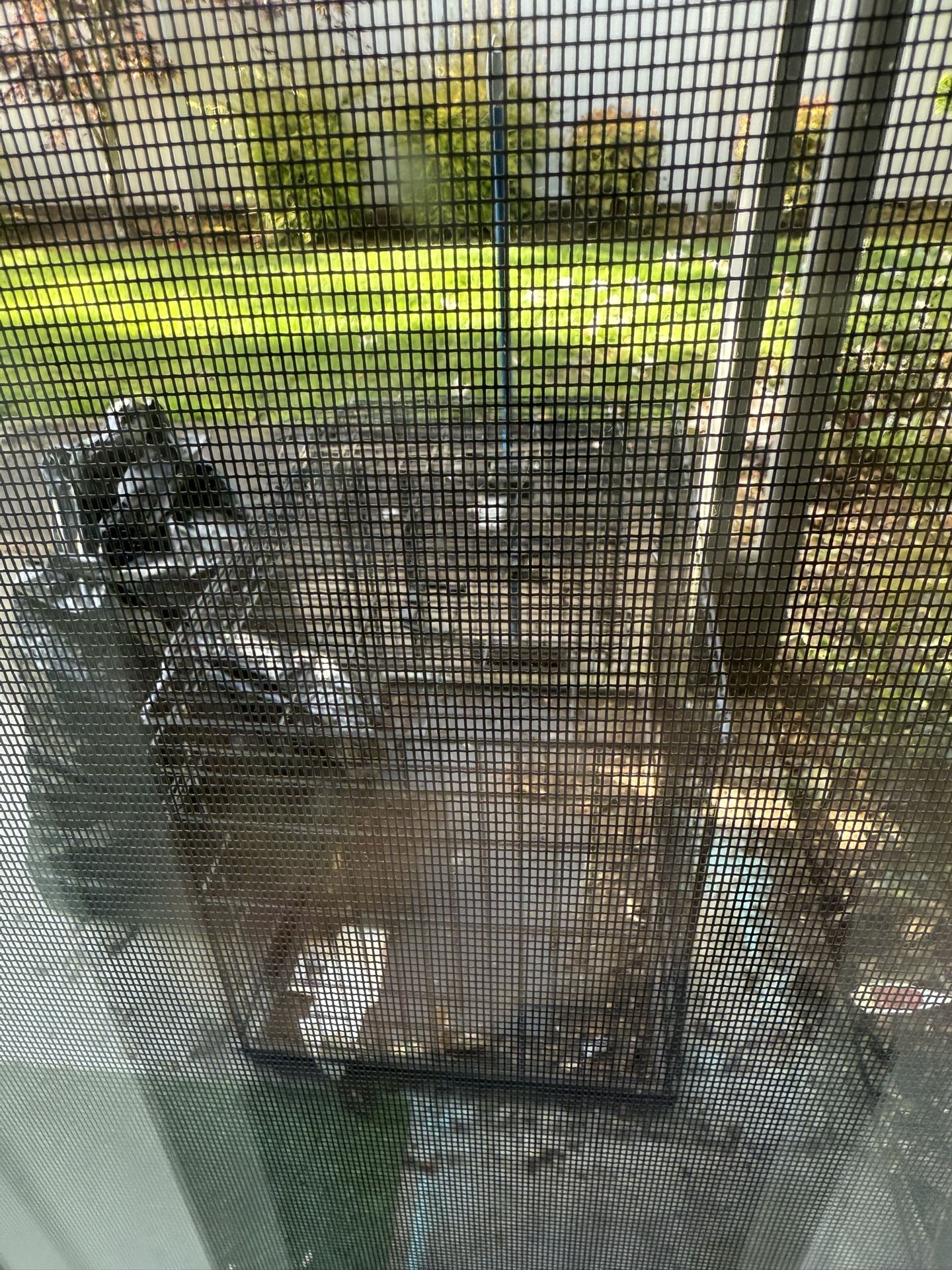 Dog Cage