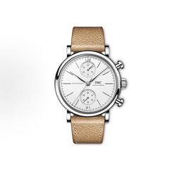 IWC Batao Fino Series Automatic Mechanical Movement Business Fashion Men's(157)35