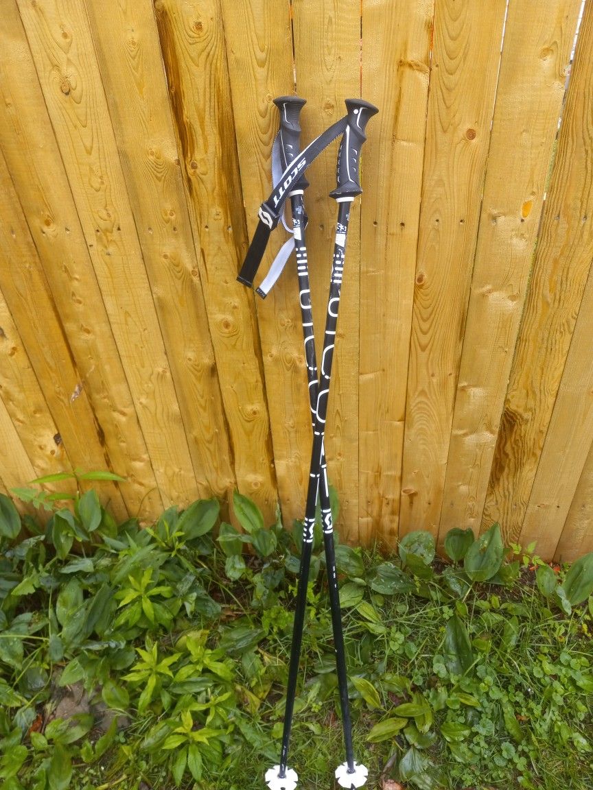 Scott 48-in Ski Poles