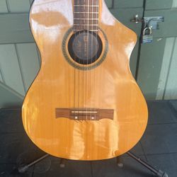 Rare Line 6 Variax 300 Acoustic Electric Guitar 