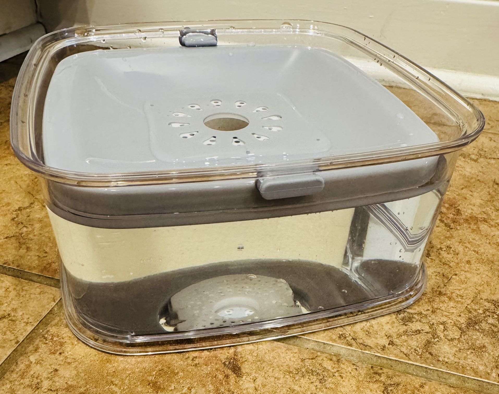 Pet Cat Dog Splash Free Bowl - $5 New