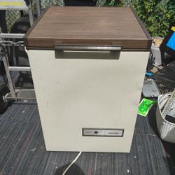 Montgomery Ward Freezer 