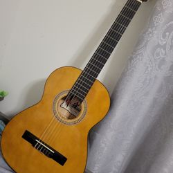 Palmer Guitar