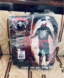 Costume boy size large 12/14