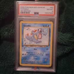 TOTODILE #80