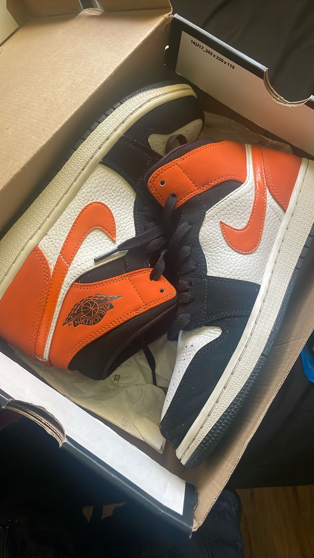 Air Jordan 1 Retro