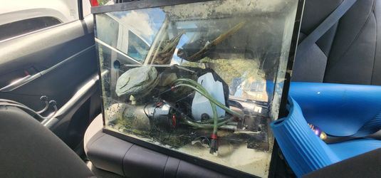 Tanke De 37 Galones Y Accesorios Para Acuario