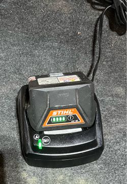 Stihl AK-10 Battery and Charger