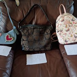 Hermosas Carteras 