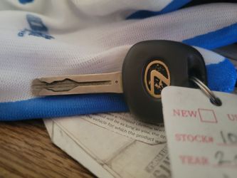 Program car keys and remotes