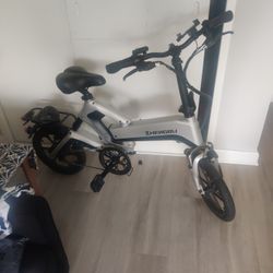 Electric Bike