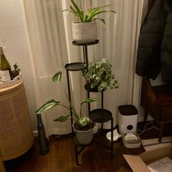 5-Tier Metal Plant Stand