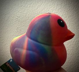 Squeeezy Duck