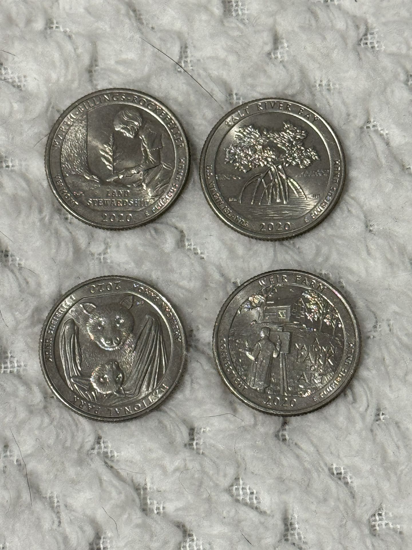 2020 Quarter Set
