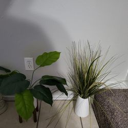 2 Plants That Look Real