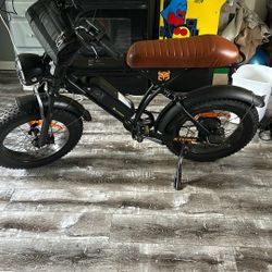 Electric E Bike 
