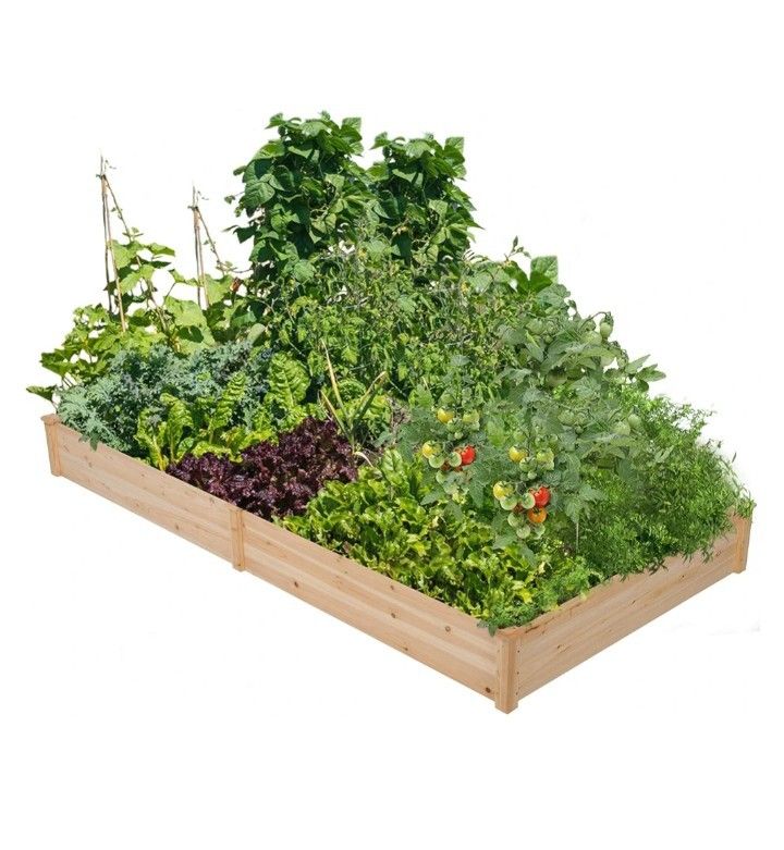 Horticulture Raised Garden Bed