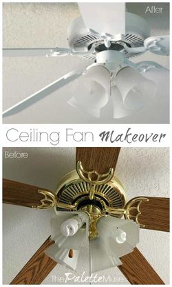 Luxury Ceiling Fan – Originally $1,000, Asking $100