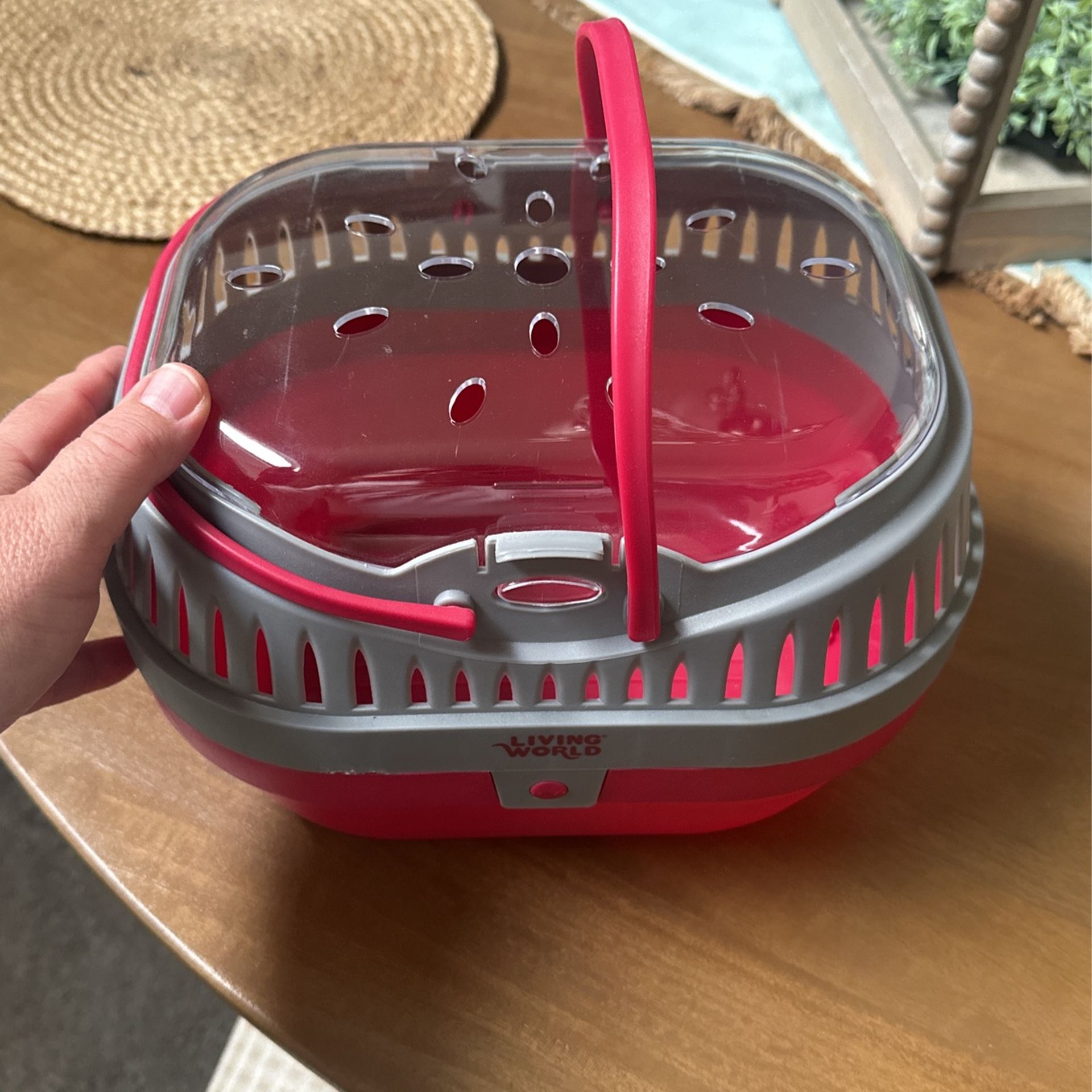 Living World Pet Carrier / Transport
