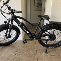 Fat Tire Off Road Electric Bike