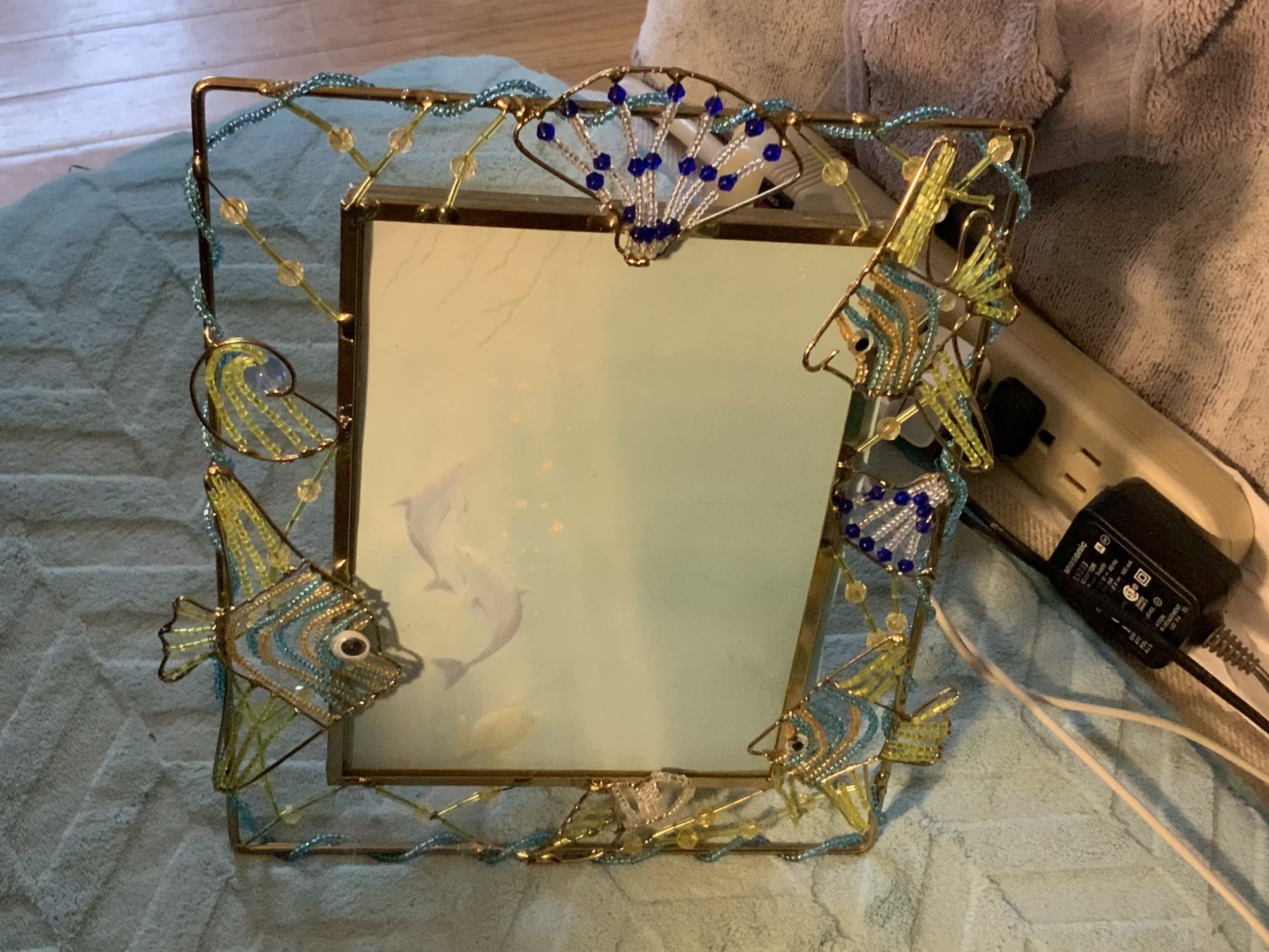 Beaded Fish Frame