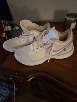 LeBron James shoes 9.5 mens clean not perfect but 85 percent