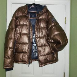 Brand New Tommy  Hilfiger Puffy Jacket (Never Been Worn)