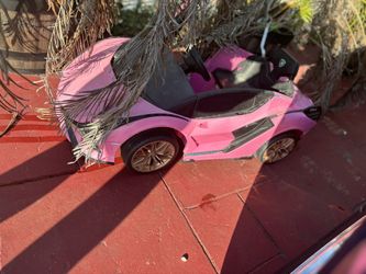 Pink! Lamborghini with Butterfly Doors! 