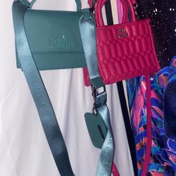 2 Steve Madden Bags Set 