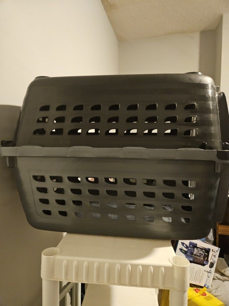 Kennel