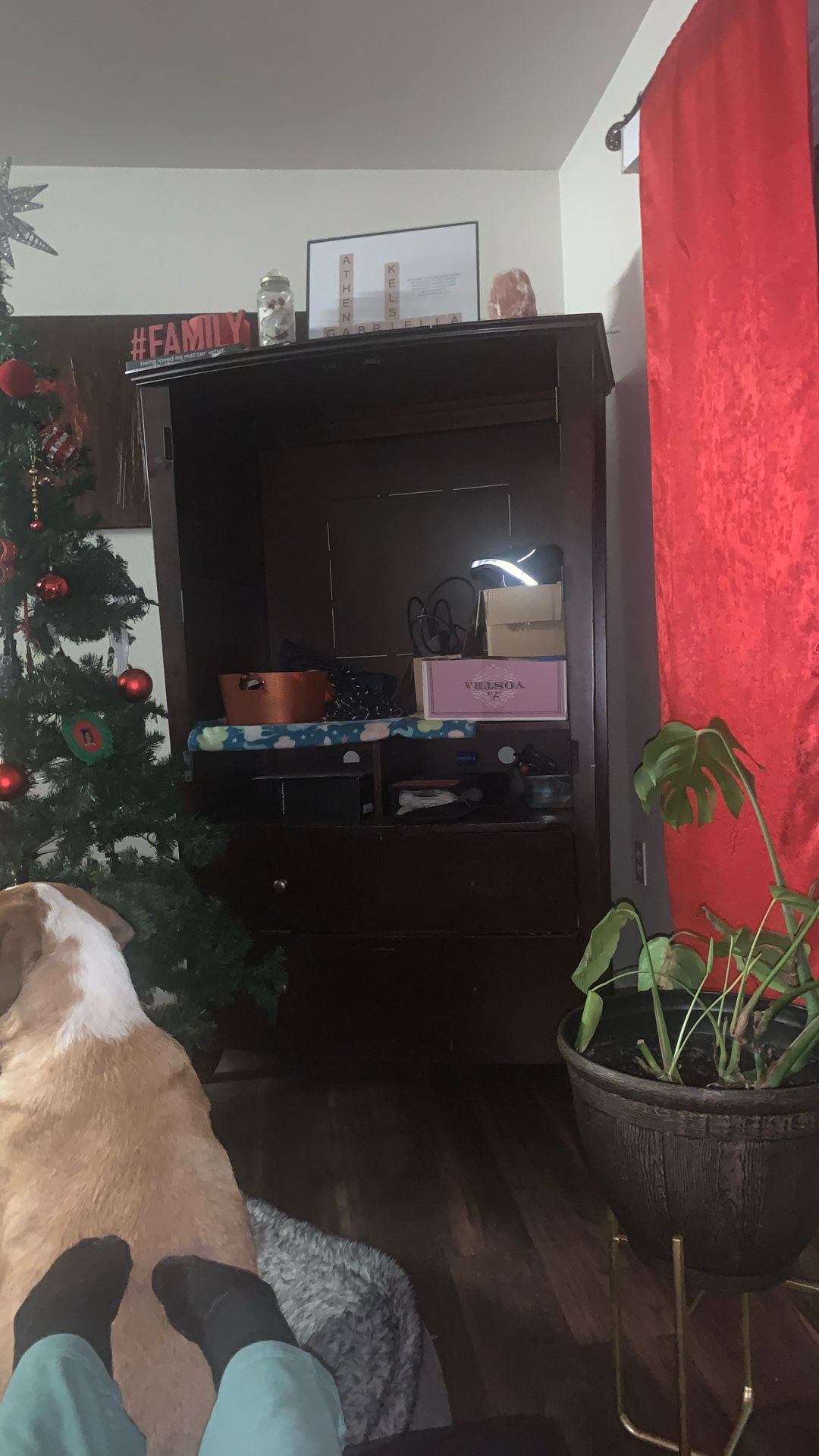 Free Dark Wood Armoire